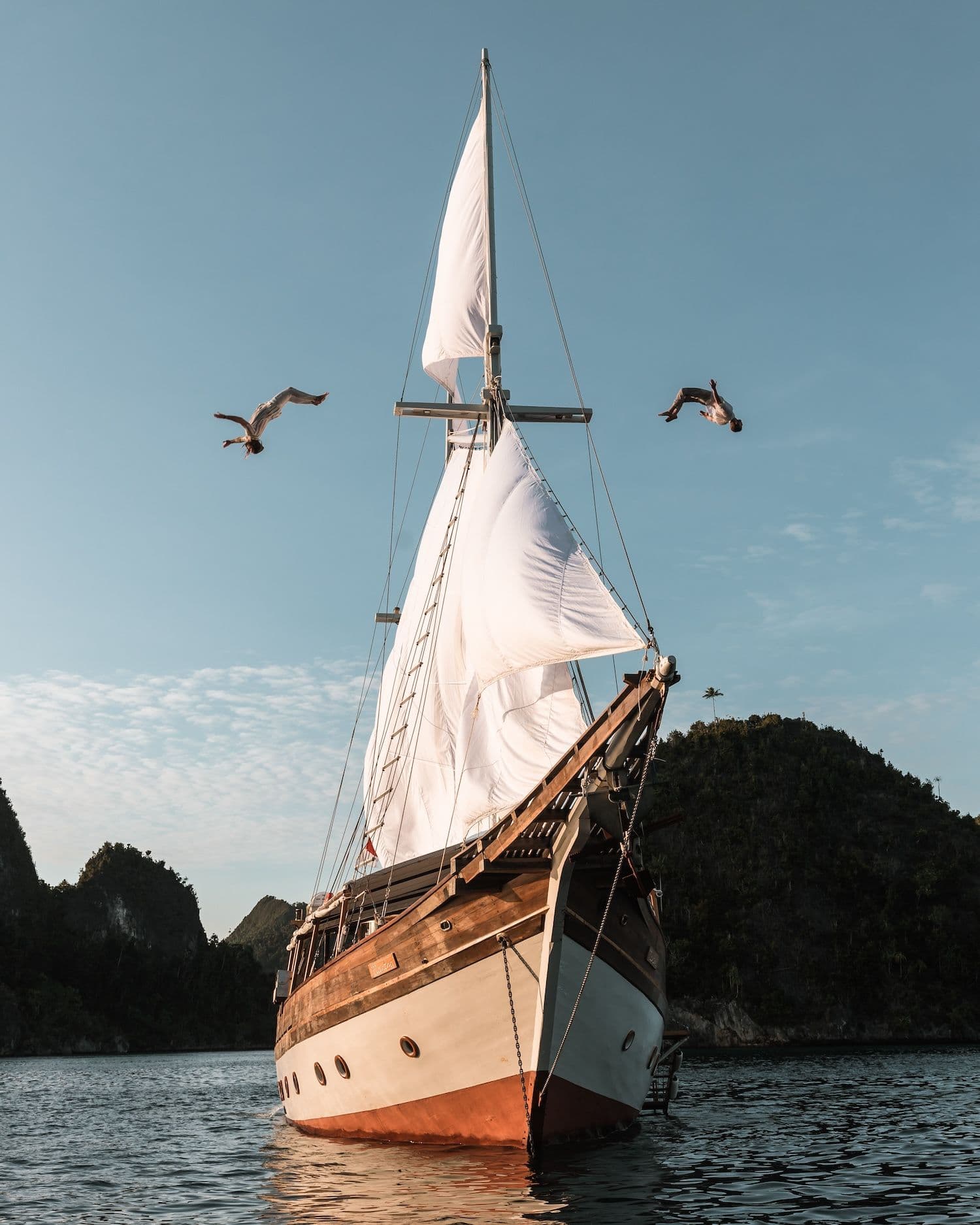 anne bonny boat, 2 birds on the sky, white sail, wooden exterior boat, beautiful view on the background