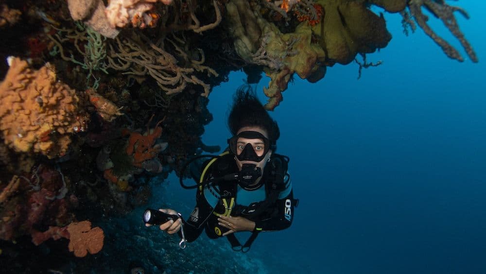 a woman dive in sumbawa